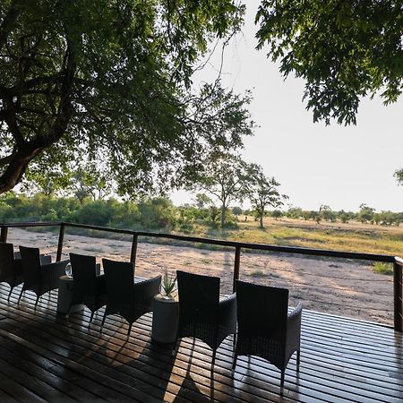 Senalala Safari Lodge Klaserie Private Nature Reserve Exteriör bild