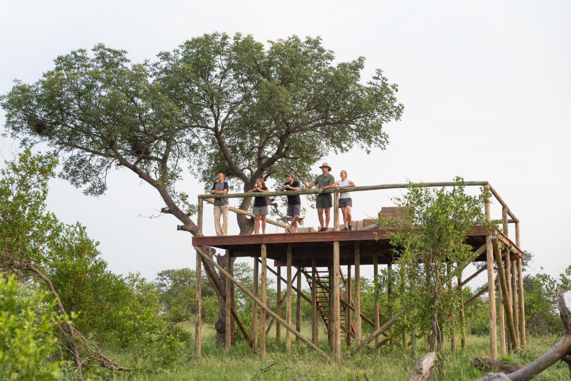 Senalala Safari Lodge Klaserie Private Nature Reserve Exteriör bild